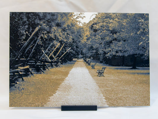 Sepia Custom Photos